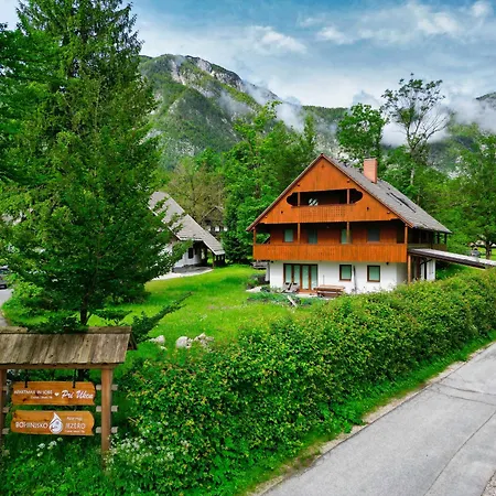 Gostinjska kuća Apartmaj-sobe-pri Ukcu