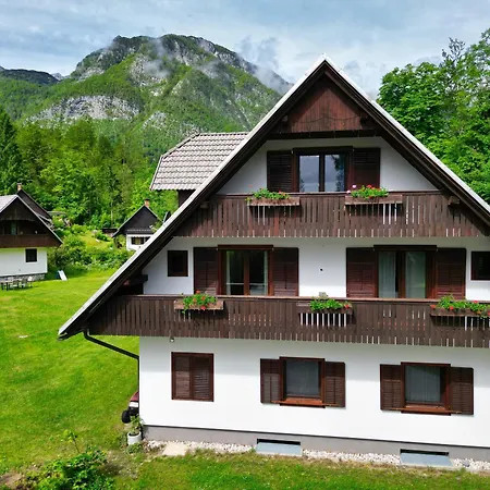 Sobe In Apartmaji Pri Ukcu Bohinj