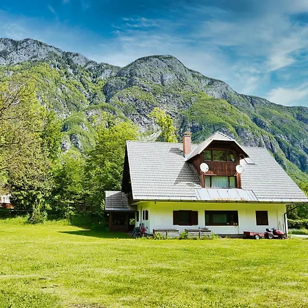 Sobe In Apartmaji Pri Ukcu Gæstehus 3*