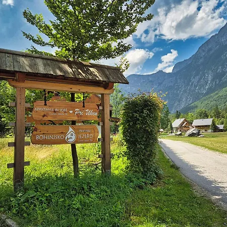 Gostinjska kuća Apartmaj-sobe-pri Ukcu 3*